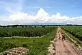 Panorama des Vulkan Kanlaon