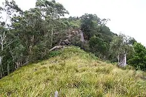 Mount Royal, Basalt auf 1100 Meter Höhe