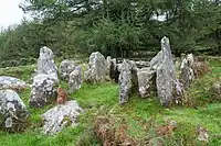 Wedge-Tomb von Moylisha