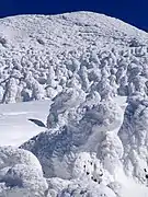 Hakkōda im Winter