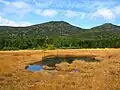 Moor mit Blick auf den Syōgen-san