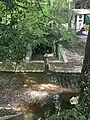 Mündung des Dorenbachs in den Birsig oberhalb des Dorenbachviadukts