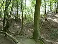 Der Halsgraben vor dem Turmhügel (rechts)