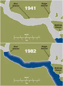 Rückzug des Gletschers zwischen 1941 und 1982
