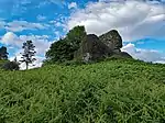 Überwachsene Mauern