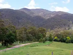 Mumbulla Mountain von Princes Highway aus