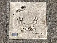 Eddy Merckx