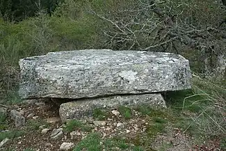 Dolmen du Devès de Félines