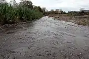 Der Fluss Crevole bei La Befa