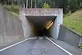 Ostportal des 1312 m langen Tunnels Mutt­ner Tobel, der in einem 180°-Bogen das rutsch­ge­fährdete Muttner Tobel unterquert.