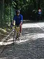De Muur van Geraardsbergen