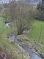 Tal der Nördlichen Regnitz zwischen Feilitzsch und Unterkotzau
