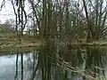 Mündung der Nördlichen Regnitz (im Hintergrund) in die Saale (von rechts)