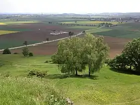 Nördlinger Ries vom Goldberg aus