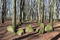 Großsteingrab Bliedersdorf 4