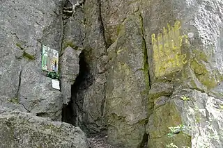 Eingang