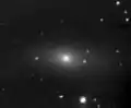 Arp 135 (NGC 1023)