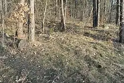 Großsteingrab Anderlingen 1