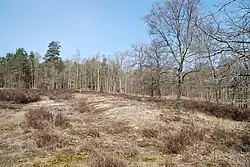 Großsteingrab Boltersen