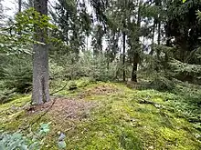 Großsteingrab Rohstorf 4