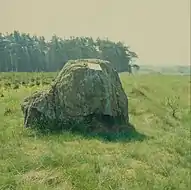 Großsteingrab Völkersen