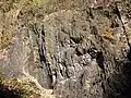 Flözausbiss im Nationalen Naturdenkmal Landek (Oberkarbon des Ostrava-Karviná-Beckens), Tschechien