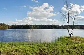 Der Glatzener Teich