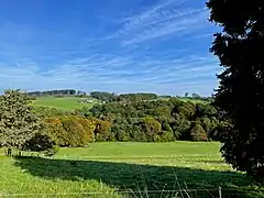 Blick über das NSG Altenbachtal von Süden bei Johannesberg