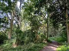 Wanderweg A6 am Ostrand des NSG