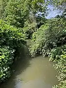 Düssel