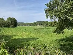 Blick vom Gödinghover Weg über die Düsselaue nach Westen