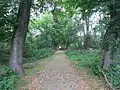 Historische Lindenallee zum Bismarckturm