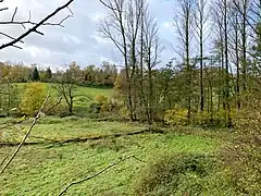 Bachtal bei Heierberg