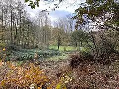 Teilfläche nördl. Oberbredenscheid