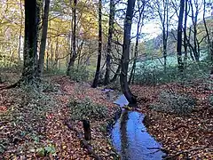Sprockhöveler Bach