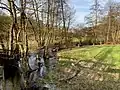 Felderbach fließt naturnah - begleitet von Ufergehölzen