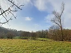 Landschaftsmosaik Balkener Feld