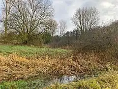 NSG Balkener Feld