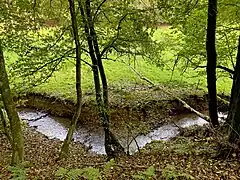 Weidener Bach im NSG