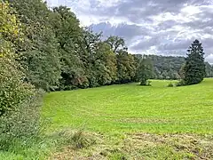 Blick über den unteren Teil des NSG - Weidener Bachtal bis zum NSG Altenbachtal