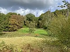 am Südhang blütenreiche Magerwiesen – in der Talsohle feuchte Hochstaudenflur