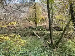 Aufgelassener Teich, dahinter Unterlauf des Roder Baches am Hang eines Kahlschlages