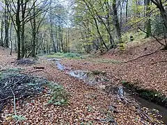 Grünscheider Bach erreicht das Weltersbachtal