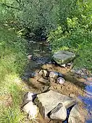 Wipper am Rand des Quellgebietes
