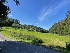 Unteres Ende des NSG an der Mündung des Harthbaches in die Große Dhünn