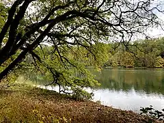 Blick vom Nordufer auf scheue Silberreiher am Südufer (weiße Punkte)