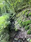 Kohlensiefen - kleiner linker Nebenbach des Purder Baches