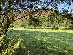 Purder Bach in der Auwiese