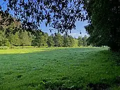 Große Auwiese im Purder Bachtal