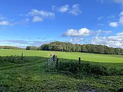 Wald hinter der Wiese: höchster und südwestlichster Punkt des NSG